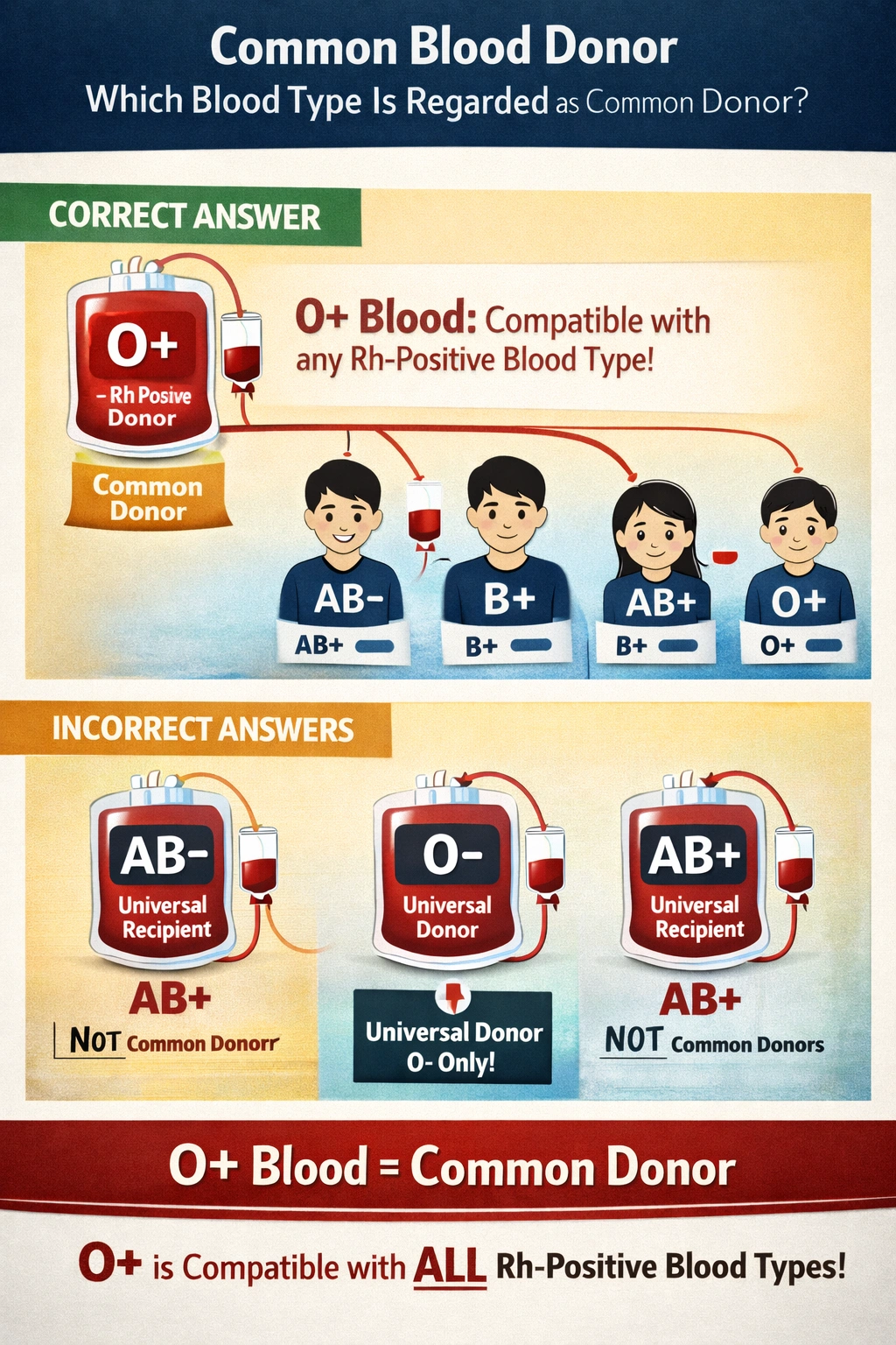 2.	Which blood type is regarded as the common donor? 