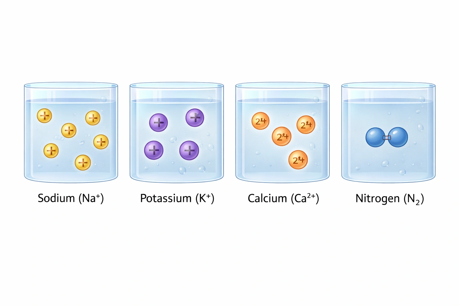 NursesPath | Electrolytes