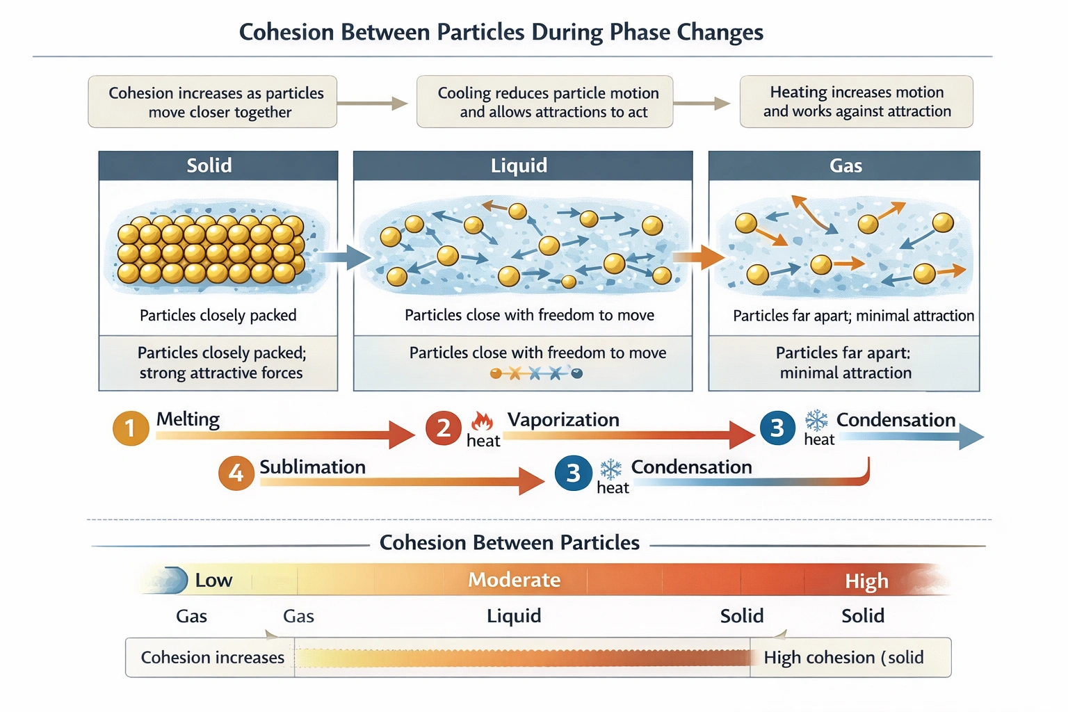 Cohesion between particles during phase changes