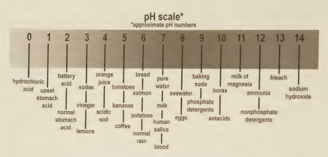 NursesPath | acidic substances