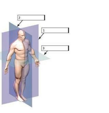 Ligaments connect what?