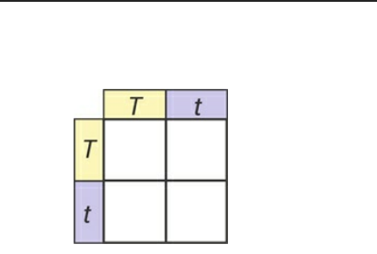 Which statement is supported by the Punnett square above, if "T" = Tall and "t" = short?
