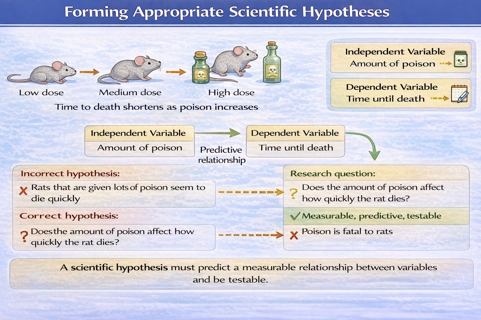 A scientist is trying to determine how much poison will kill a rat the fastest. Which of the following statements is an example of an appropriate hypothesis?