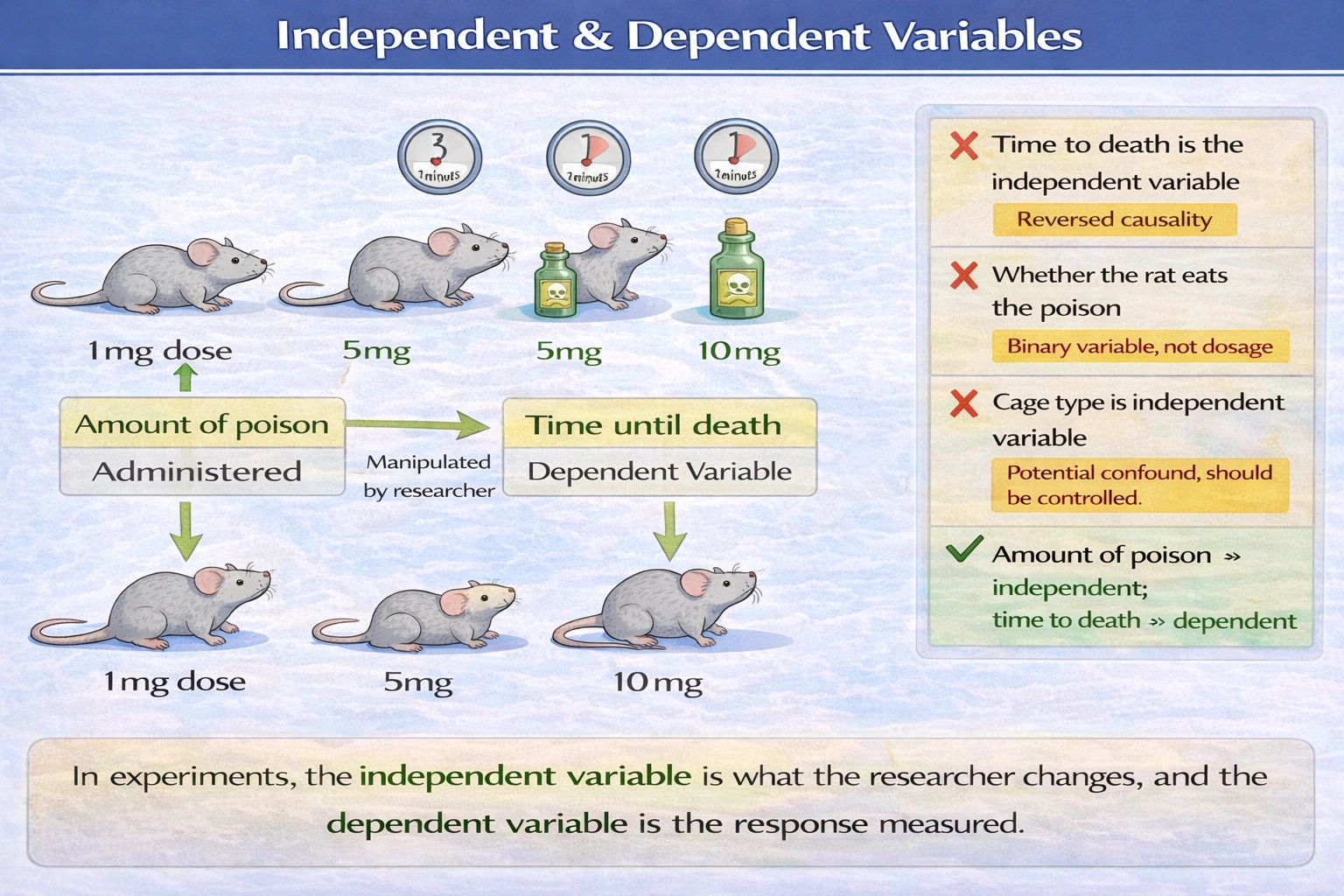 In testing how quickly a rat dies by the amount of poison it eats, which of the following is the independent variable and which is the dependent variable?