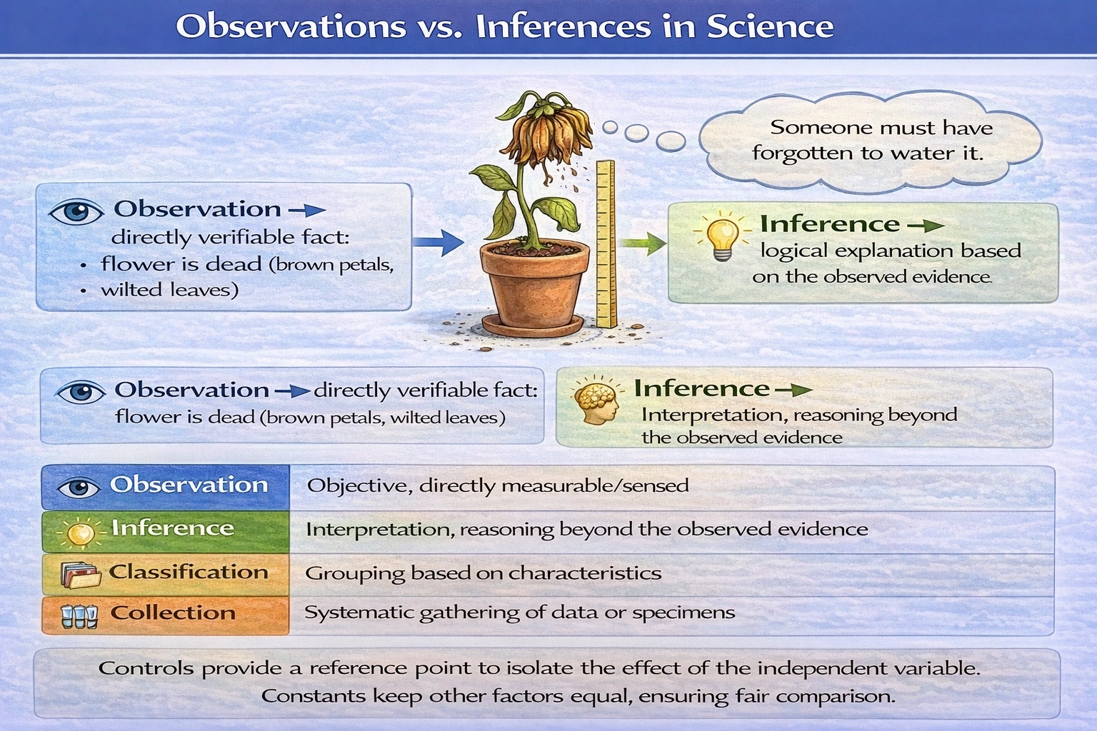 "This flower is dead; someone must have forgotten to water it." This statement is an example of which of the following?