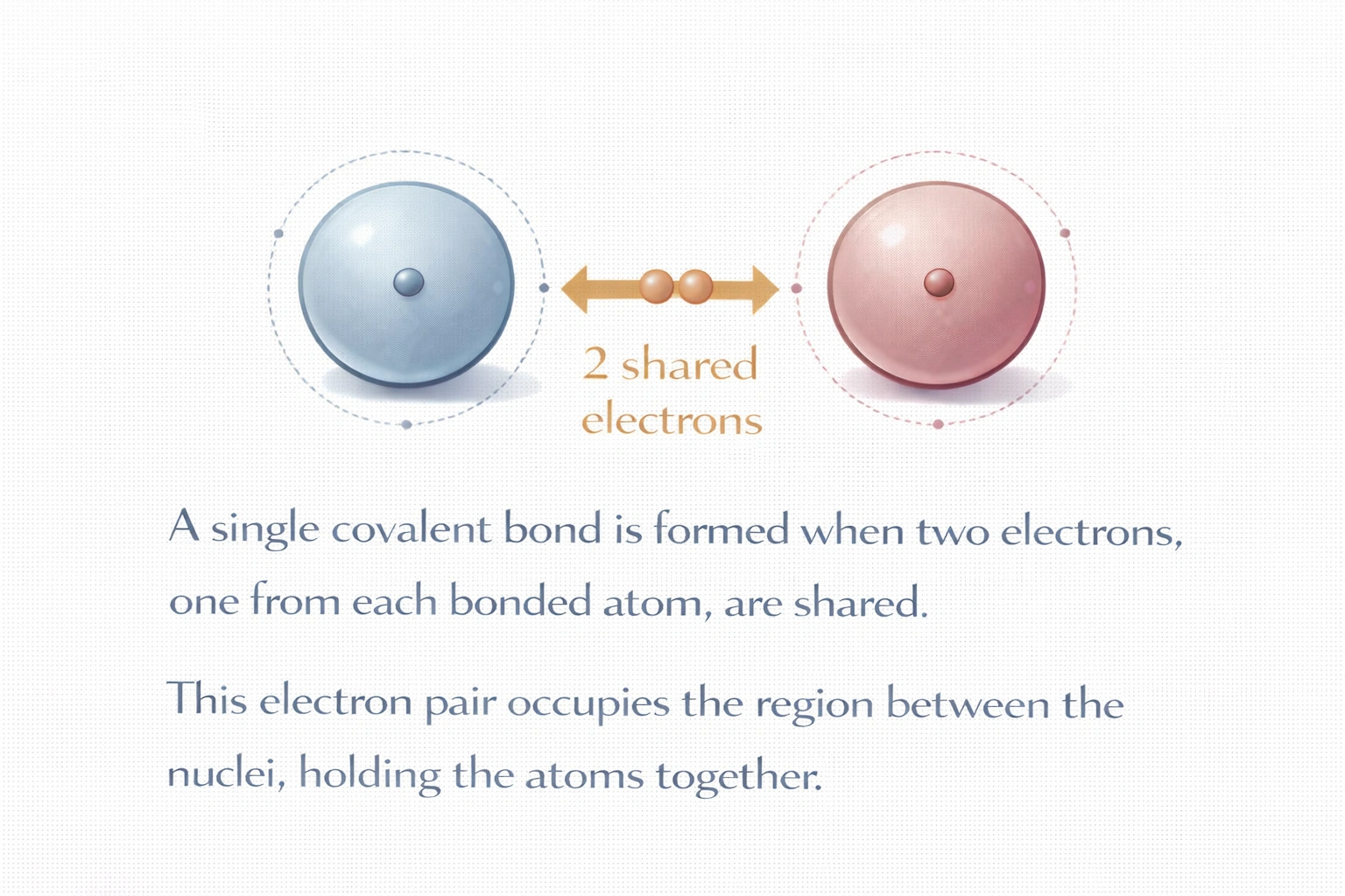 How many electrons are shared in a single covalent bond?