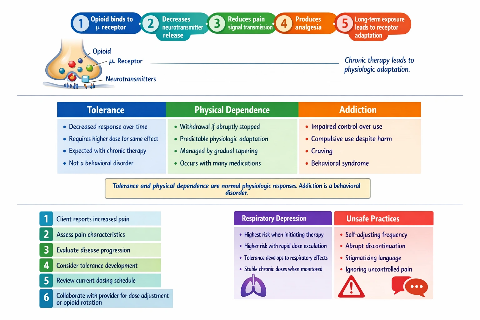 A client with cancer has been taking an opioid analgesic four times daily for chronic pain and reports needing increased doses for pain. What will the nurse tell the client?