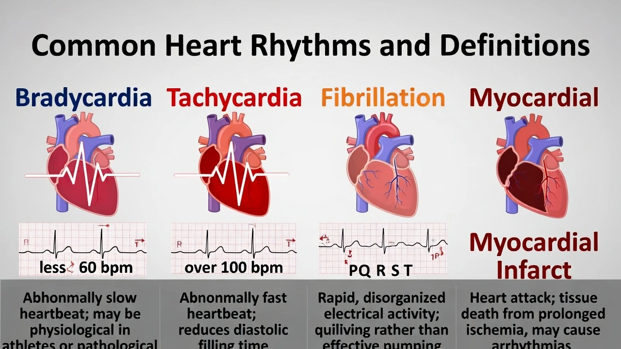 Which of the following terms matches the definition: an abnormally slow heartbeat.