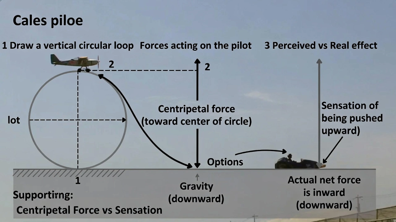 If a stunt airplane pilot is performing a circular loop and at a certain point feels like she is being pushed upward by a force, what is the direction of the centripetal force?