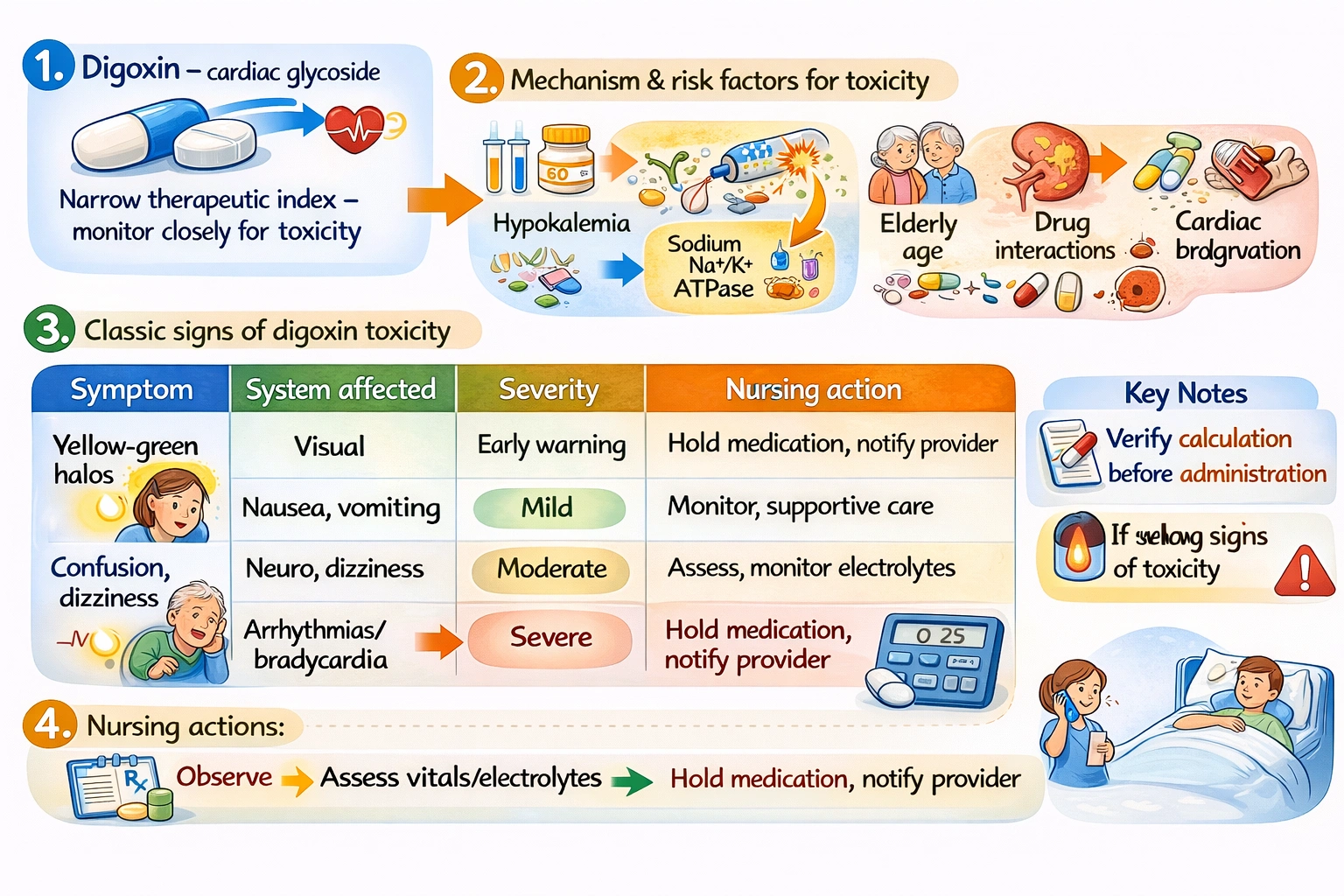 In Which situation would the nurse hold digoxin?