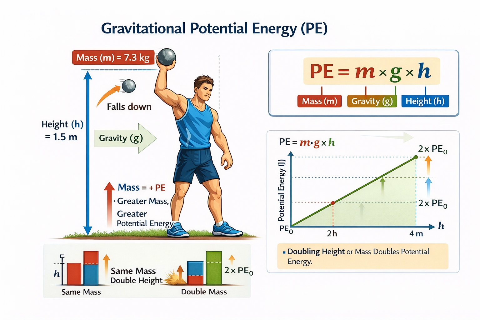A track and field athlete holds a shot put of mass 7.3 kg at chin level 1.5 m above the ground. How much potential energy does the shot have? (Use g = 9.8 m/s?)