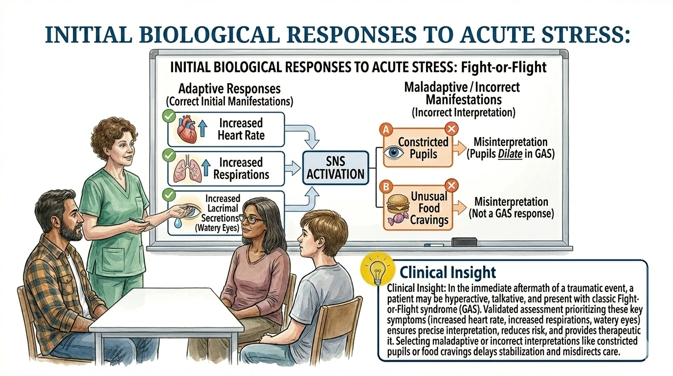 A patient presents in the Emergency Department immediately following a shooting incident in a school where she has been teaching. There is no evidence of physical injury, but she appears very hyperactive and talkative. Which of these symptoms manifested by the patient are common initial biological responses to stress? Select all that apply.