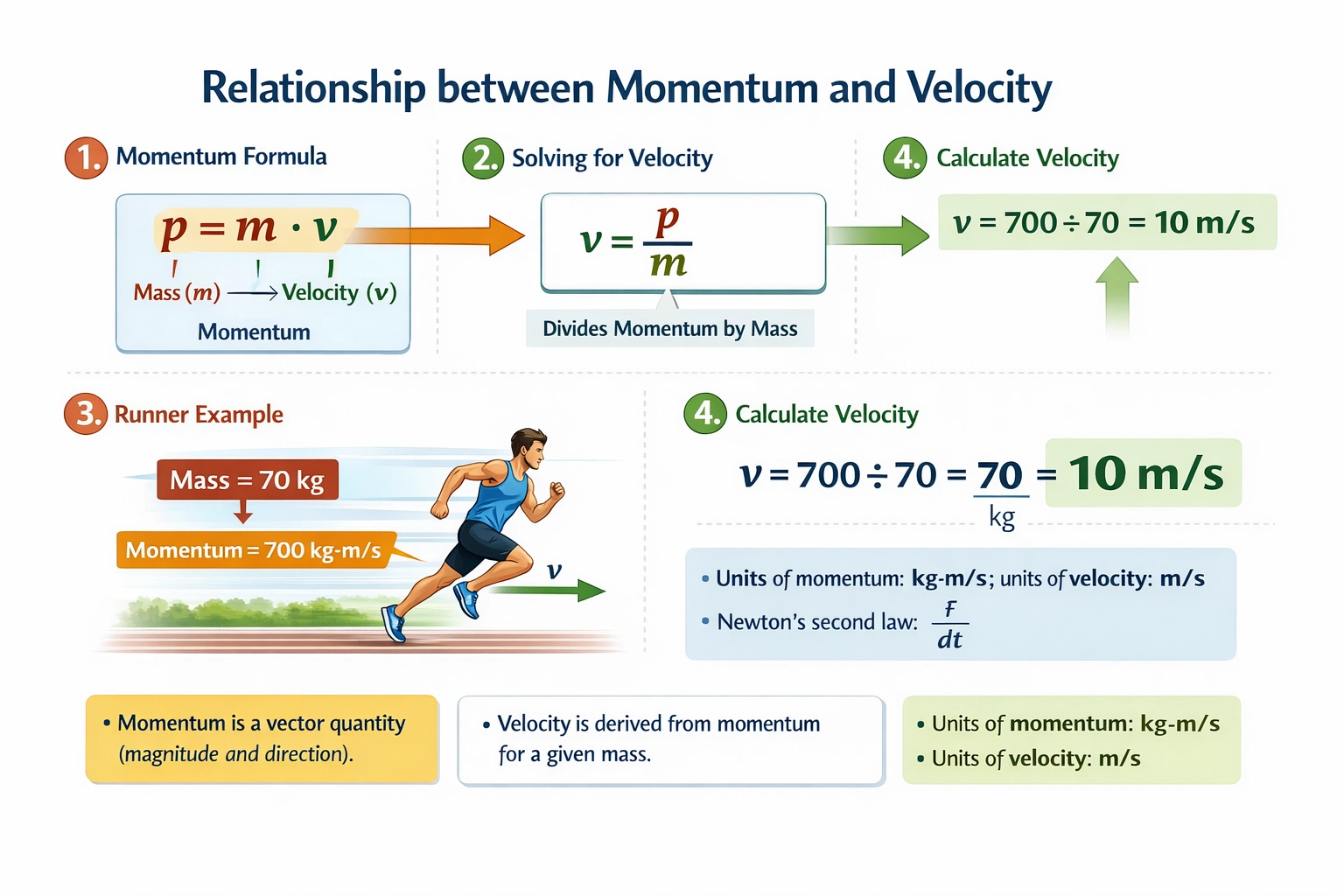 What is the velocity of a 70 kg runner with a momentum of 700 kg?m/s?