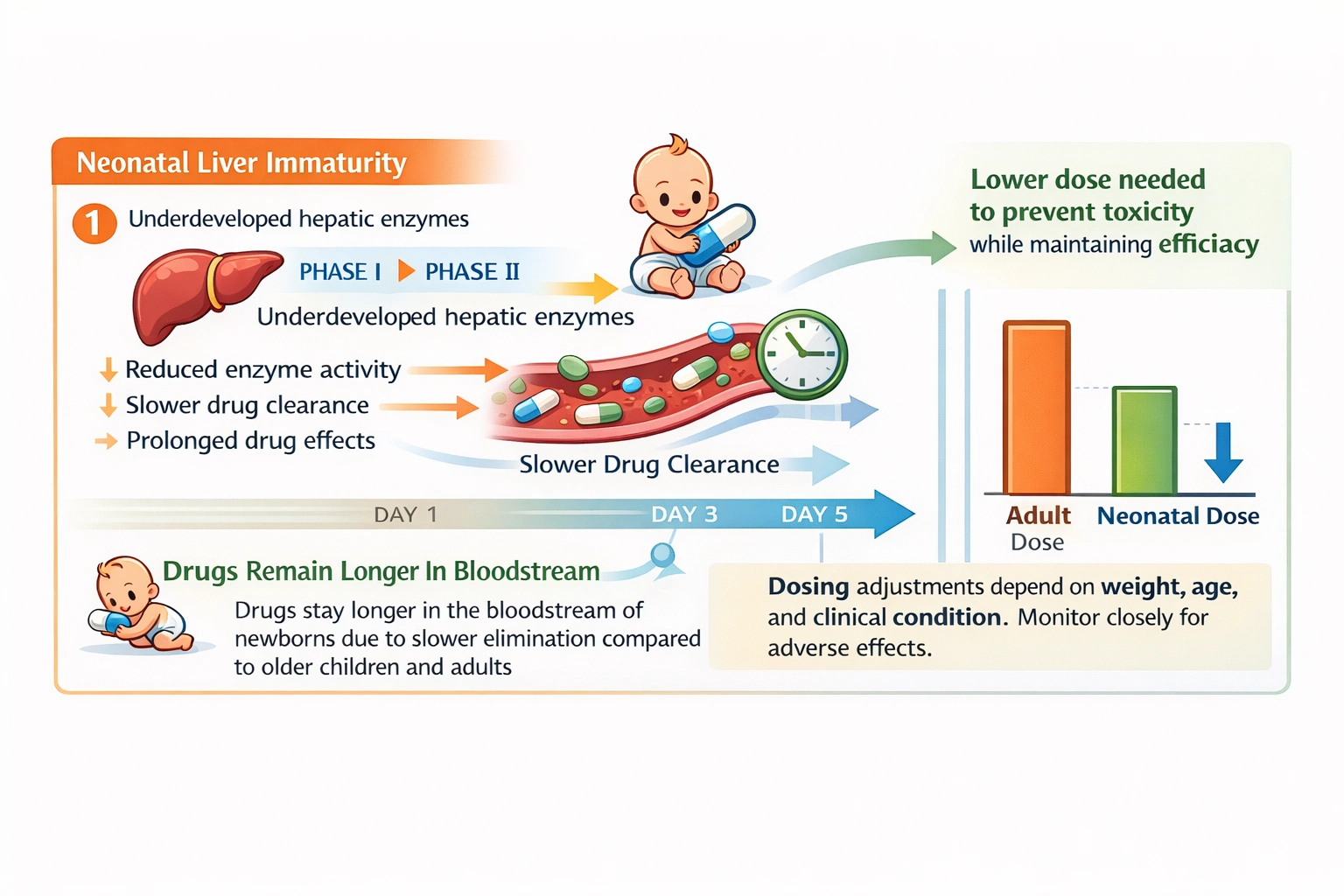 A Prescriber has ordered medication for a newborn that is eliminated primarily by hepatic Metabolism. What would the nurse expect the prescriber to order?